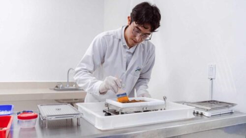 Yucatán lanza becas de posgrado 2026