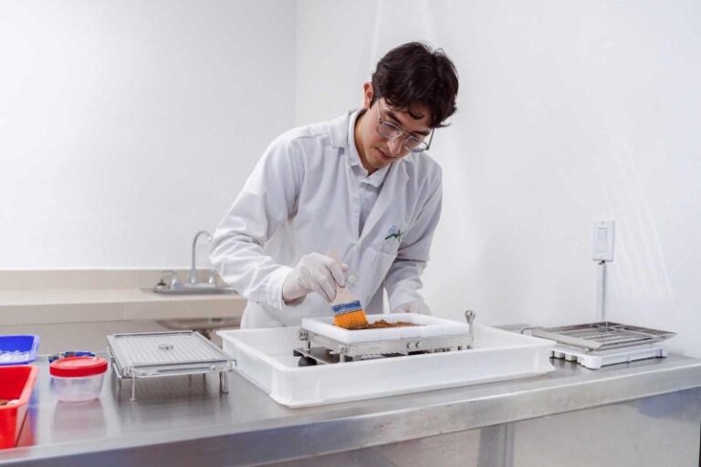 Yucatán lanza becas de posgrado 2026