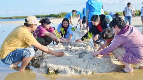 FPMC invita a jornada de restauración de manglares en Punta Sur