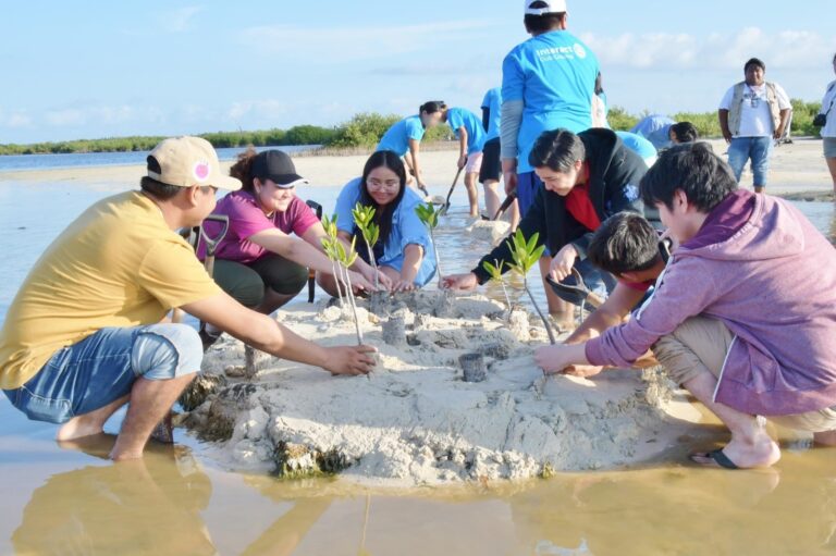 FPMC invita a jornada de restauración de manglares en Punta Sur