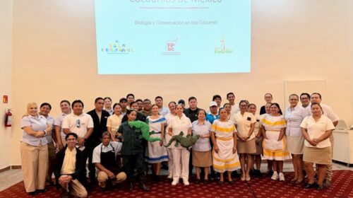 Capacitan al sector hotelero en Cozumel para la protección y manejo de cocodrilos