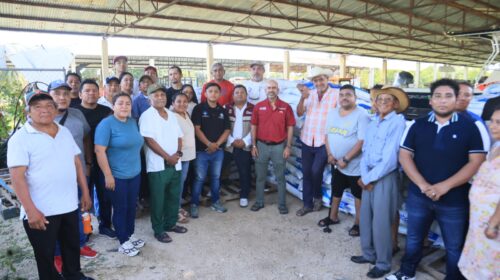Entregan más de 32 toneladas de alimento a productores de tilapia en Quintana Roo