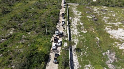 Frenan devastación en la Reserva de Celestún