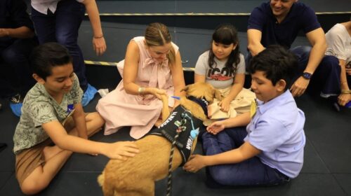 Perros rescatados llevan terapia y amor a personas con autismo en Mérida