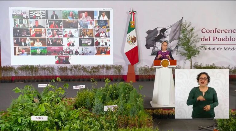 Quintana Roo se suma a la Jornada Nacional de Reforestación 2026