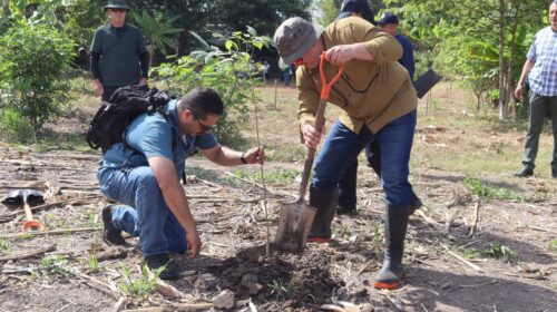 Tabasco alista Jornada Estatal de Reforestación