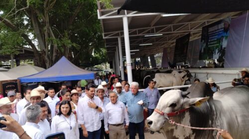 Tabasco reúne a ganaderos de cuatro estados en la IV Muestra Mexicana del Cebú