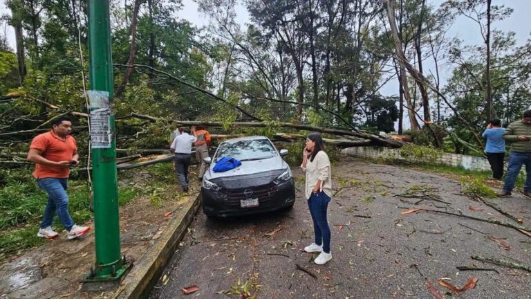 Tormenta con rachas de viento provoca destrozos en viviendas y vehículos en San Cristóbal de las Casas