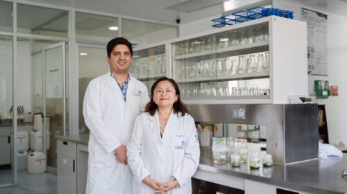 Yucatán albergará congreso internacional sobre biotecnología vegetal