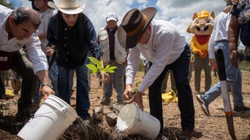 Yucatán impulsa el Renacimiento Verde