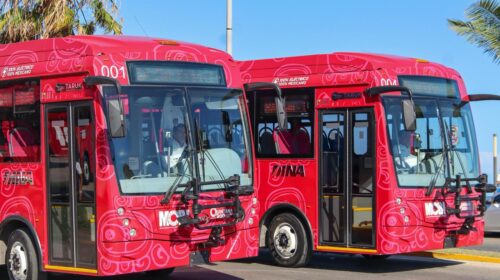 Arranca MOBI Chetumal, el primer sistema de transporte con autobuses eléctricos TARUK, hechos en México