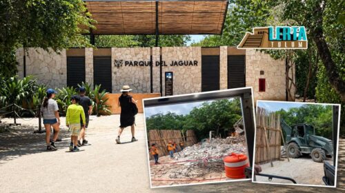 Demuelen muro en el Parque del Jaguar