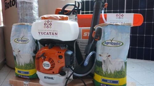 Inyección millonaria al campo yucateco