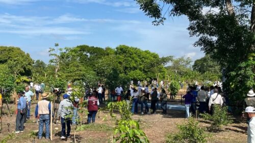 Javier May convoca a jornada de reforestación en Tabasco
