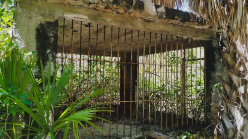 Operativo de Profepa busca grandes felinos en predios ligados a “Pepe Tigre” en Cancún