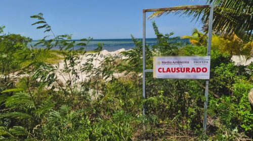 Profepa frena ecocidio en la costa de Yucatán