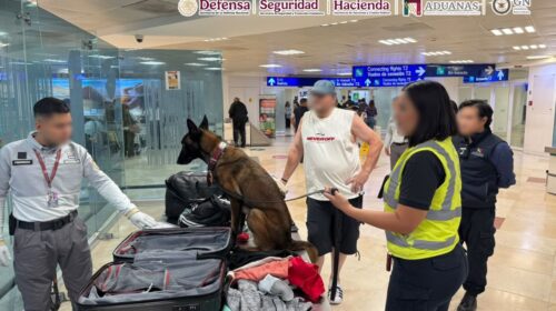 Cae pasajero con 10 kilos de cocaína ocultos en una maleta en el aeropuerto de Cancún