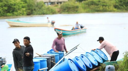 Impulsan la soberanía alimentaria en Tabasco con la siembra de alevines del programa “Pescando Vida”