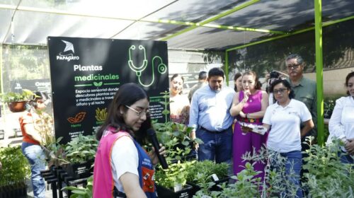 Inauguran el Vivero ‘Papagayo por el Bienestar’ en Tabasco
