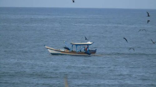 Localizan con vida al pescador "El Huachinango" tras cinco días a la deriva