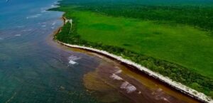 Semarnat frena megaproyecto hotelero en la Riviera Maya